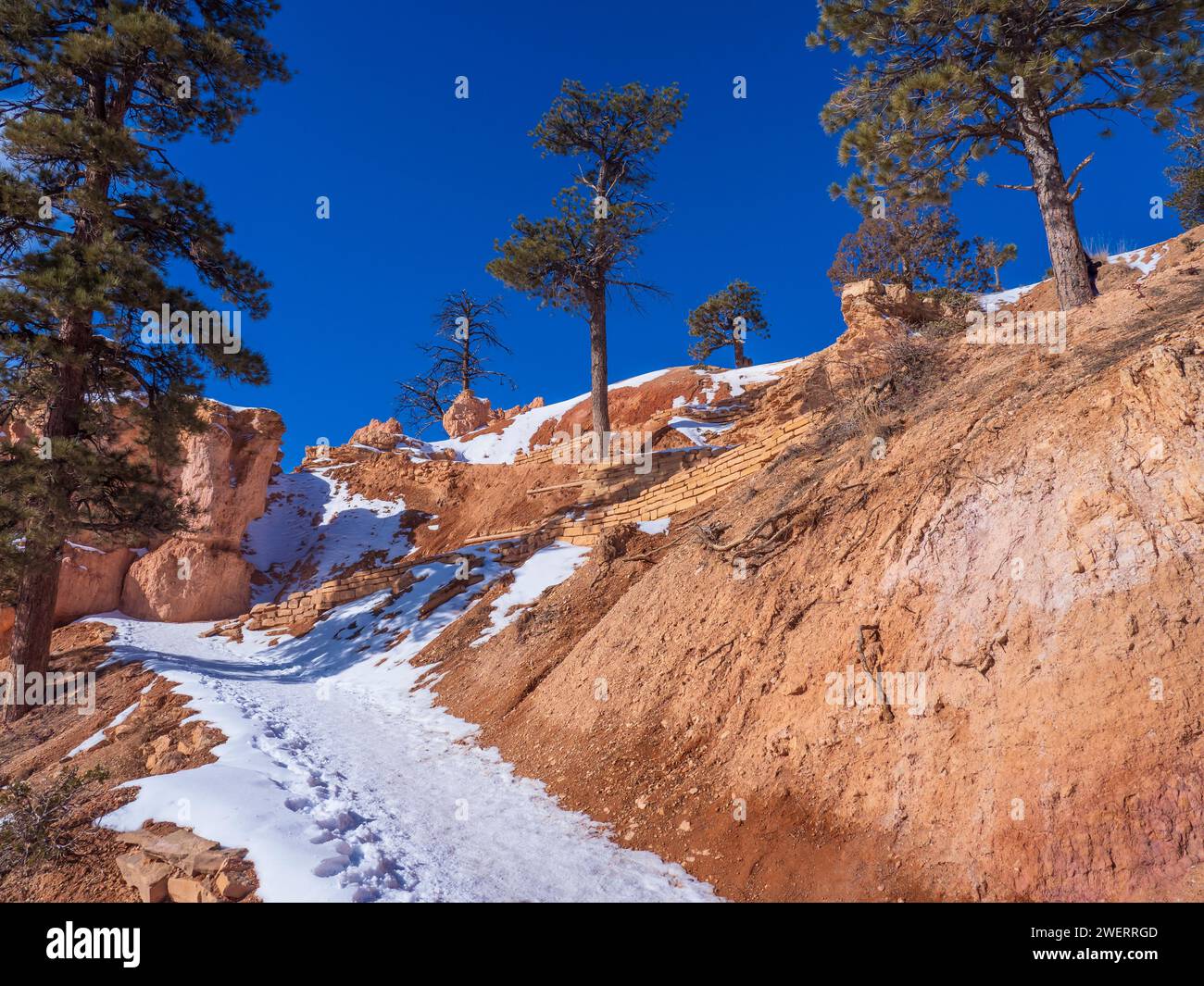 Queen's Garden Trail, Bryce Amphitheater, inverno, Bryce Canyon National Park, Utah. Foto Stock