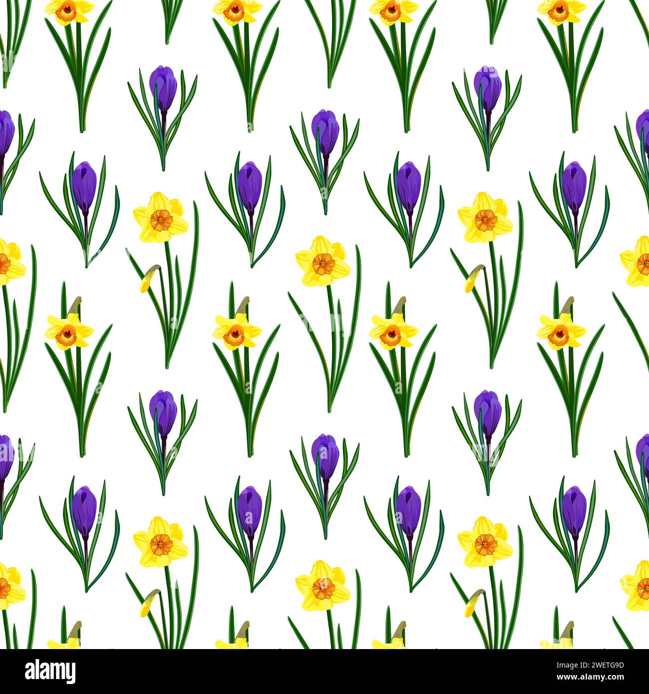 Motivo floreale senza cuciture con narcisi e crocchi. Illustrazione Vettoriale