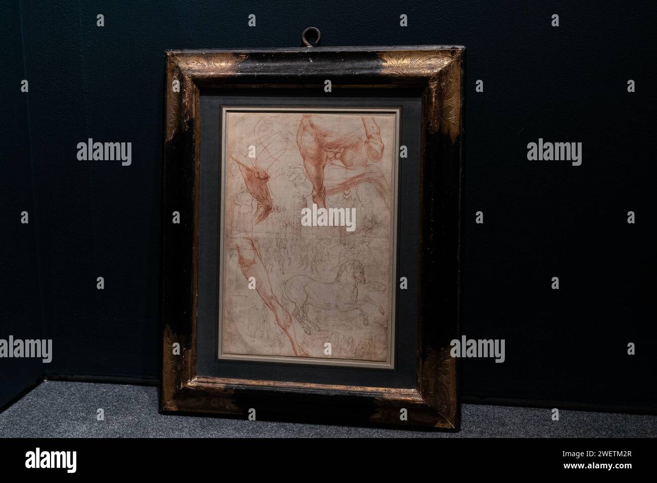 New York, USA. 26 gennaio 2024. Pietro Buonaccorsi doppio foglio di stadies messo all'asta nell'ambito delle vendite della Sotheby's Annual Masters Week al Sotheby's di New York durante un'anteprima stampa il 26 gennaio 2024. (Foto di Lev Radin/Sipa USA) credito: SIPA USA/Alamy Live News Foto Stock