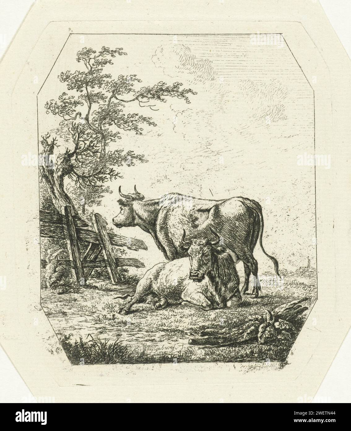 Due mucche vicino a una recinzione, Johannes van Cuylenburgh, 1803 - 1841 stampa di carta da incisione mucca Foto Stock