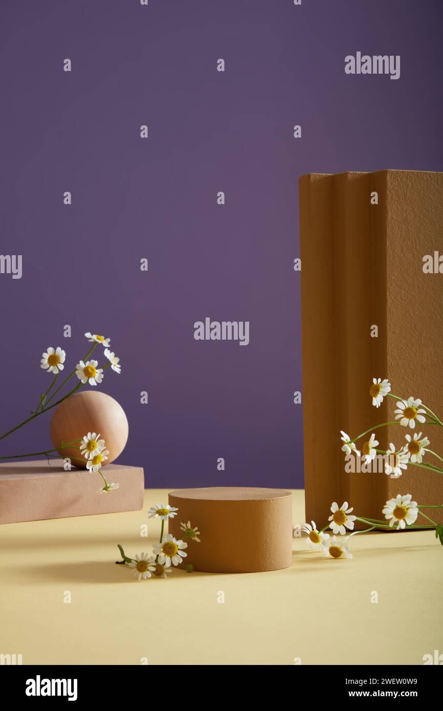 Scena minimale: Podio vuoto, Feverfew geometrico e fresco (tanacetum parthenium) su sfondo viola. Feverfew ha effetti sulla bellezza come anti-invecchiamento. Foto Stock