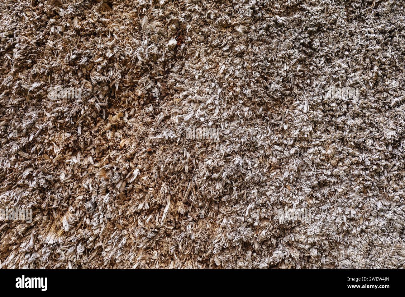 Consistenza di un bersaglio in legno che viene colpito con un arco, primo piano della parte posteriore del bersaglio Foto Stock