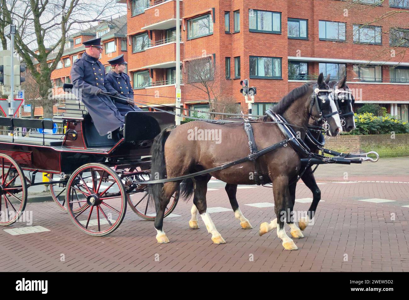 Tradizionale carrozza trainata da cavalli guidata da carrozzieri in costume nella città di l'Aia, Paesi Bassi Foto Stock
