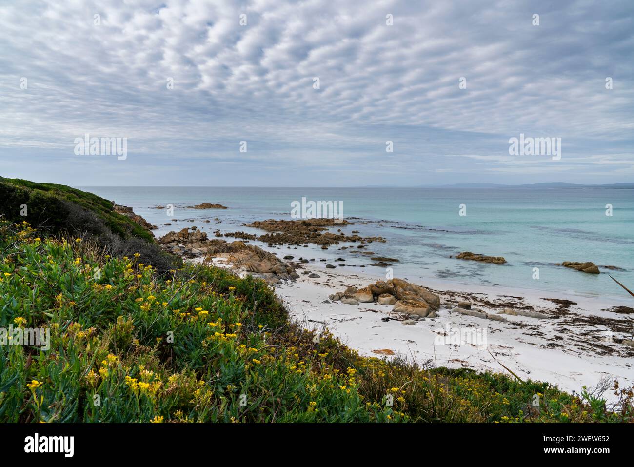 Larapuna o la Baia degli incendi e il Parco Nazionale di Mount William, Tasmania, Australia Foto Stock