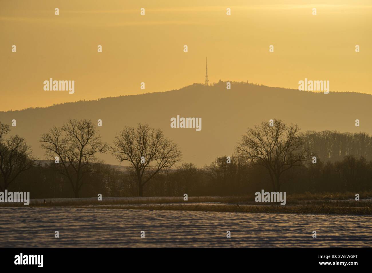 Due alberi solitari, paesaggi invernali, alberi, animali, uccelli, pulpiti, chiesa, colline e colline Foto Stock