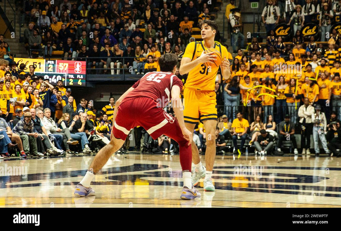 Haas Pavilion Berkeley, California, USA. 26 gennaio 2024. La guardia CALIFORNIANA Gus Larson (31) si prefigge di passare la palla durante la partita di pallacanestro maschile NCAA tra Stanford Cardinal e i California Golden Bears. La California batte Stanford 73-71 all'Haas Pavilion Berkeley California. Thurman James/CSM (immagine di credito: © Thurman James/Cal Sport Media). Credito: csm/Alamy Live News Foto Stock