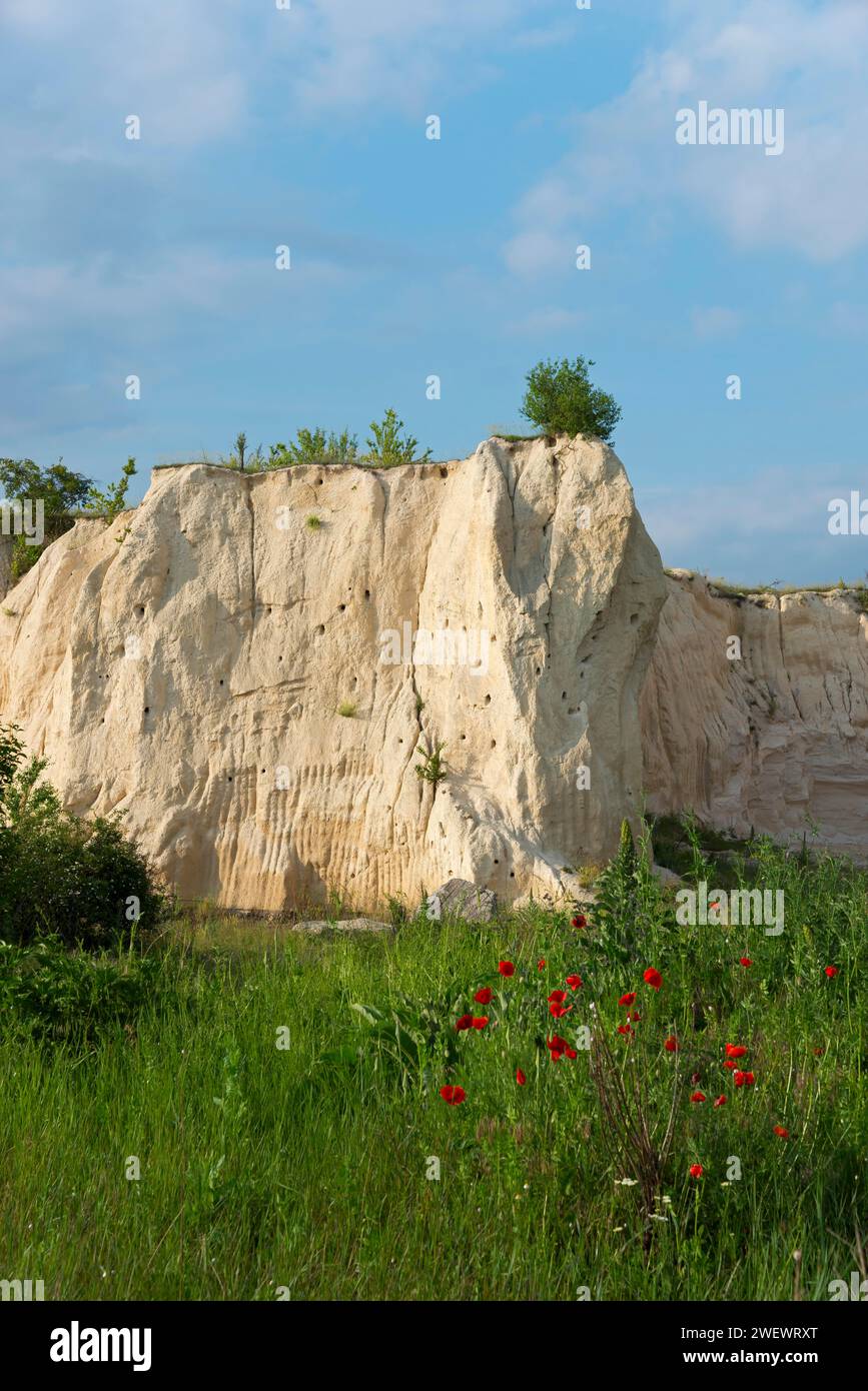 Una cava di pietra calcarea circondata da erba lussureggiante e fiori rossi selvatici sotto un cielo blu, montagna con grotte di riproduzione di mangiatori d'api, Vladimirovo, Dobrich Foto Stock