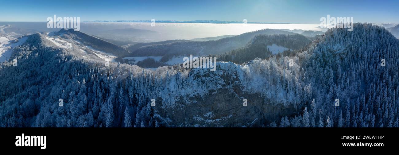 Vista sulla prima catena del Giura con Belchenflueh in inverno nell'Altopiano centrale con alta nebbia, dietro di esso panorama alpino, colpo di drone, Haegendorf Foto Stock