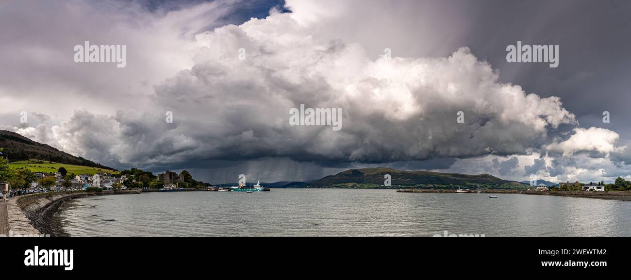 Carlingford Lough, Contea di Louth, Irlanda Foto Stock