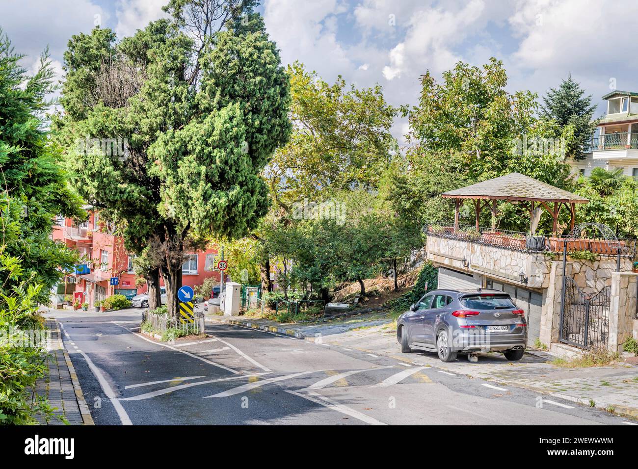 Strada urbana vuota con grande vecchio albero nel centro mediano di Istanbul, Tuerkiye Foto Stock