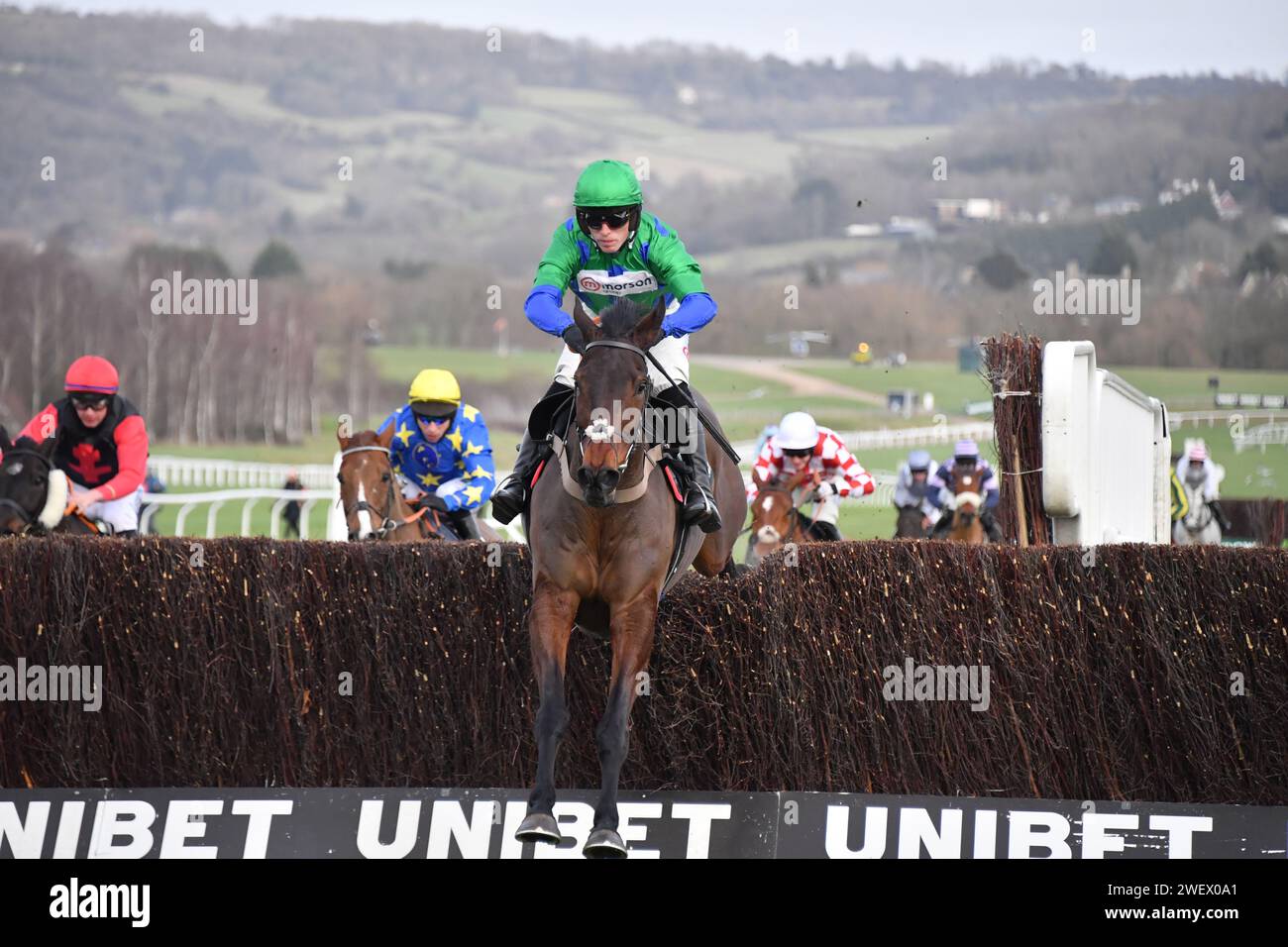 Cheltenham, Regno Unito. 27 gennaio 2024. Cheltenham Racecource, Regno Unito. Ginnys Destiny salta l'ultima sicura prima di vincere il 12,40 a Cheltenham. Harry Cobden corre per Paul Nicholls Foto Stock