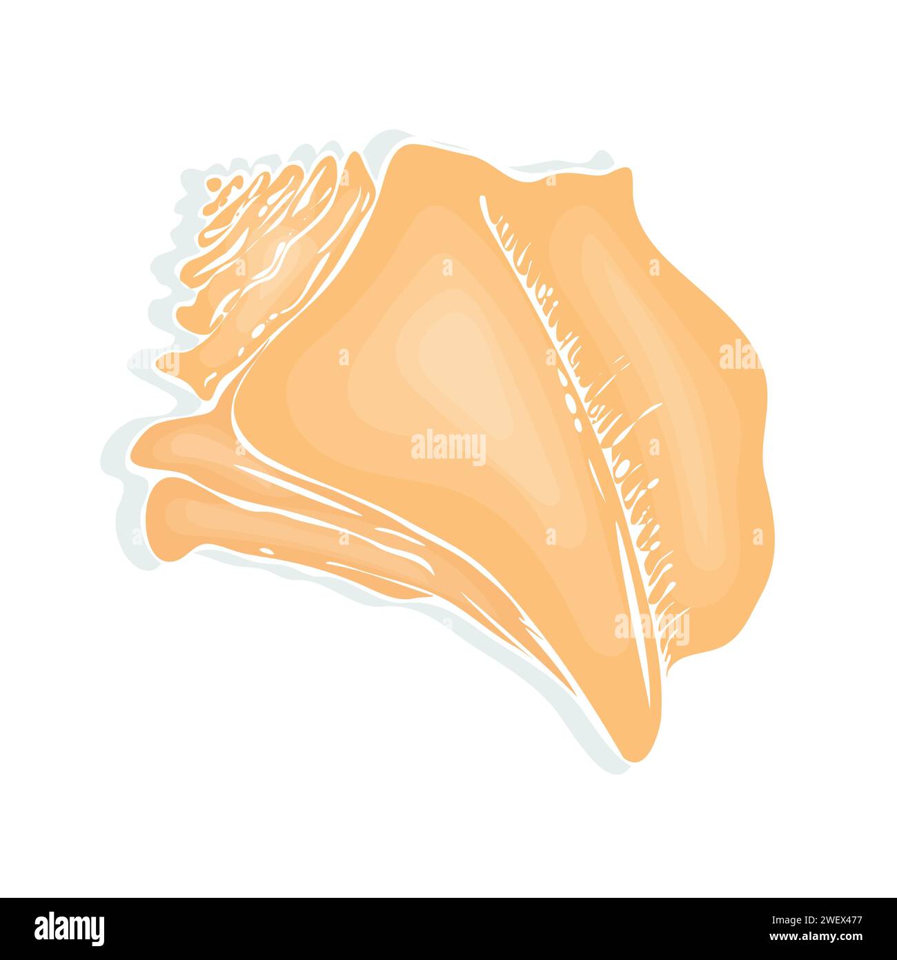 L'immagine presenta un guscio marino giallo meticolosamente dipinto a mano, che si concentra sulla sua texture dettagliata e l'ombreggiatura. Illustrazione Vettoriale