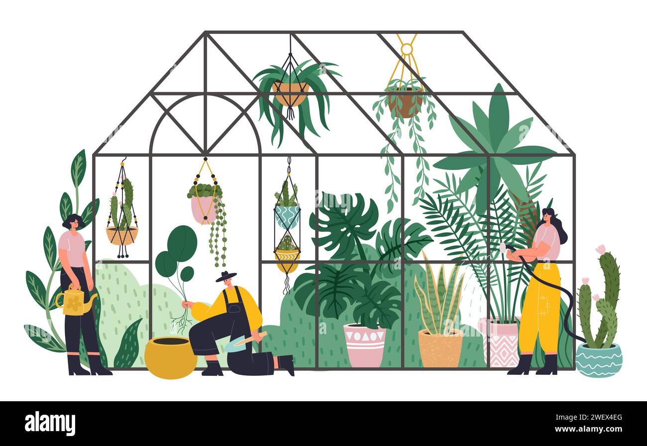 Persone che lavorano nella piantagione di serra, orangerie di vetro, serra di giardino botanico Illustrazione Vettoriale