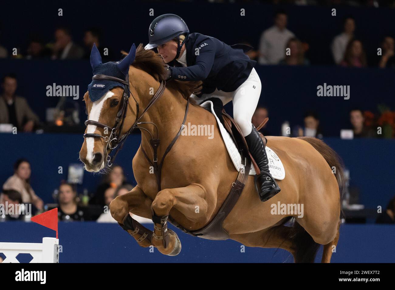 Amsterdam, Paesi Bassi - 26 gennaio 2024. Angelica Augustsson Zanotelli dalla Svezia compete nella classe CSI5* 1.50 m a Jumping Amsterdam. Mark Spow Foto Stock