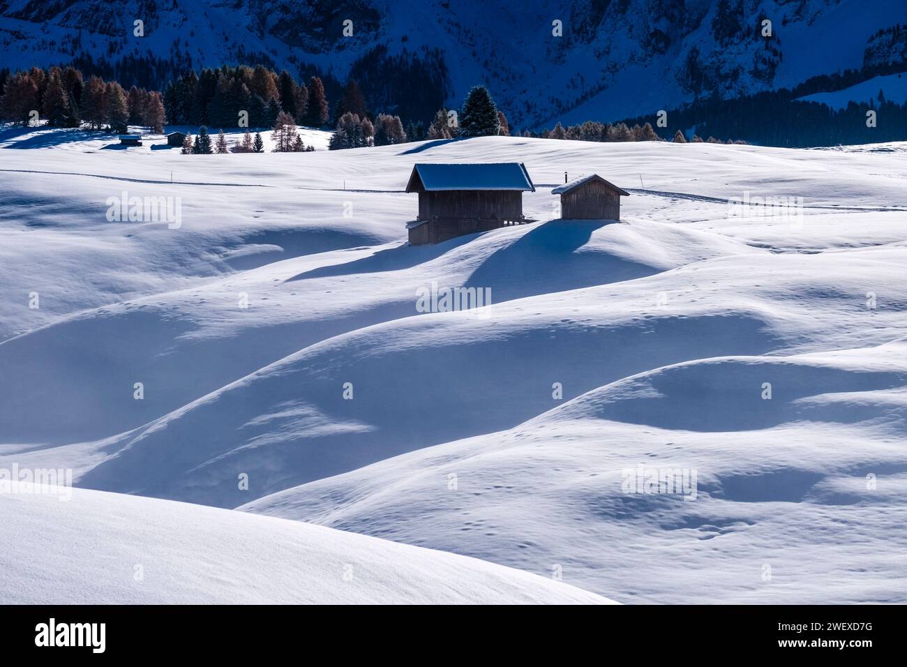 Campagna agricola collinare con capanne in legno, alberi e pascoli innevati all'Alpe di Siusi in inverno. Castelrotto Trentino-alto Adige Italia FB 2023 Foto Stock