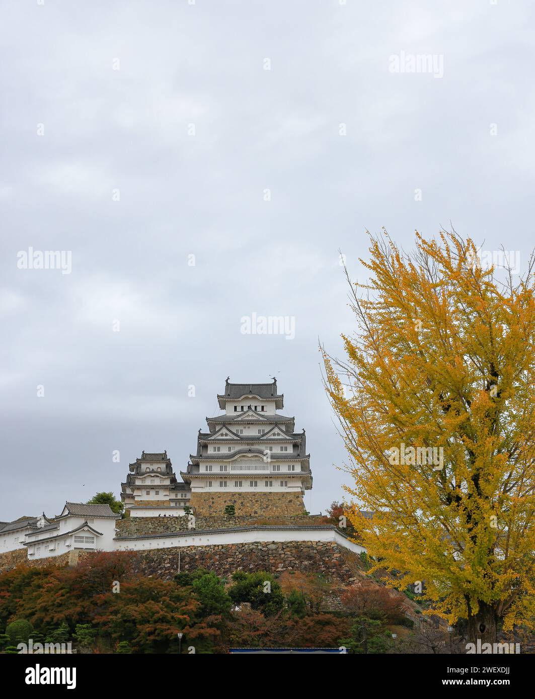 Il castello di Himeji, con nuvole bianche di cielo blu autunnale, incorniciano una delle migliori destinazioni di viaggio del giappone, Hyogo Japan. Foto Stock