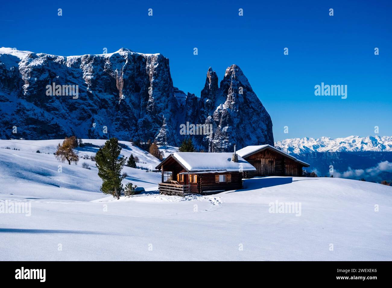 Campagna agricola collinare con alberi, capanne in legno e pascoli innevati presso l'Alpe di Siusi, in inverno, le vette del Monte Petz e dello Sciliar nel di Foto Stock