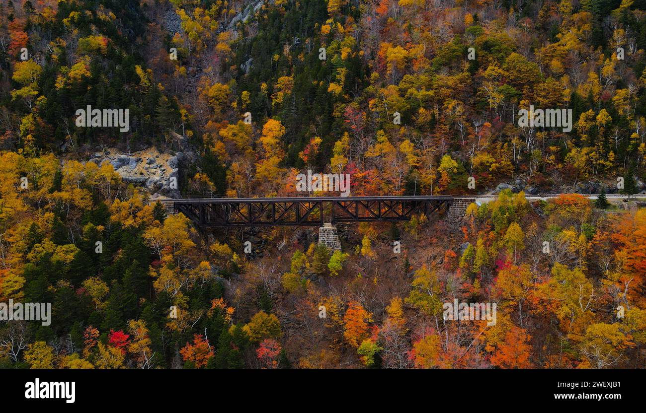 Vista della ferrovia dall'alto - Mt Willard, New Hampshire Foto Stock