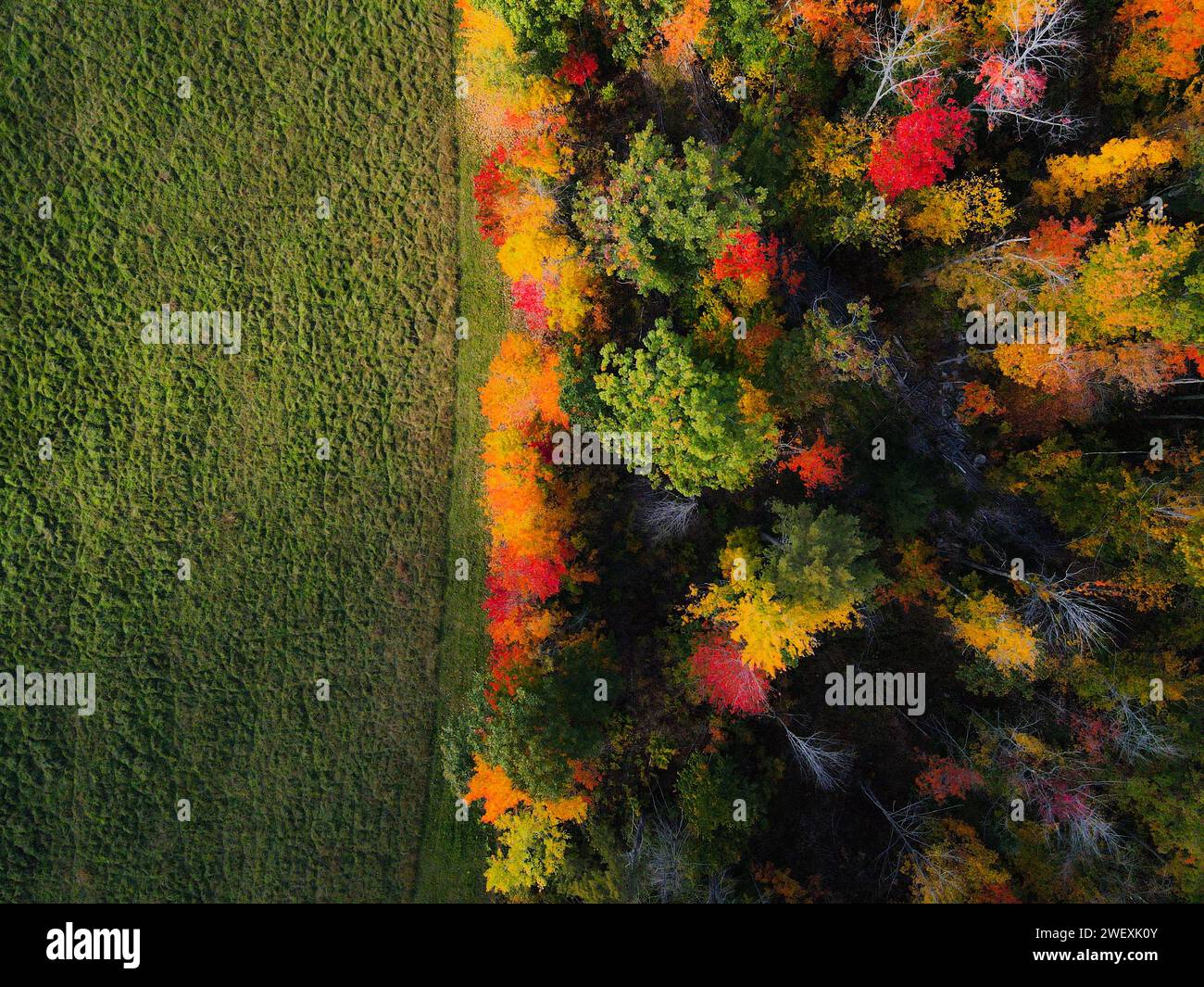 Splendida vista dall'alto in autunno - New Hampshire Foto Stock