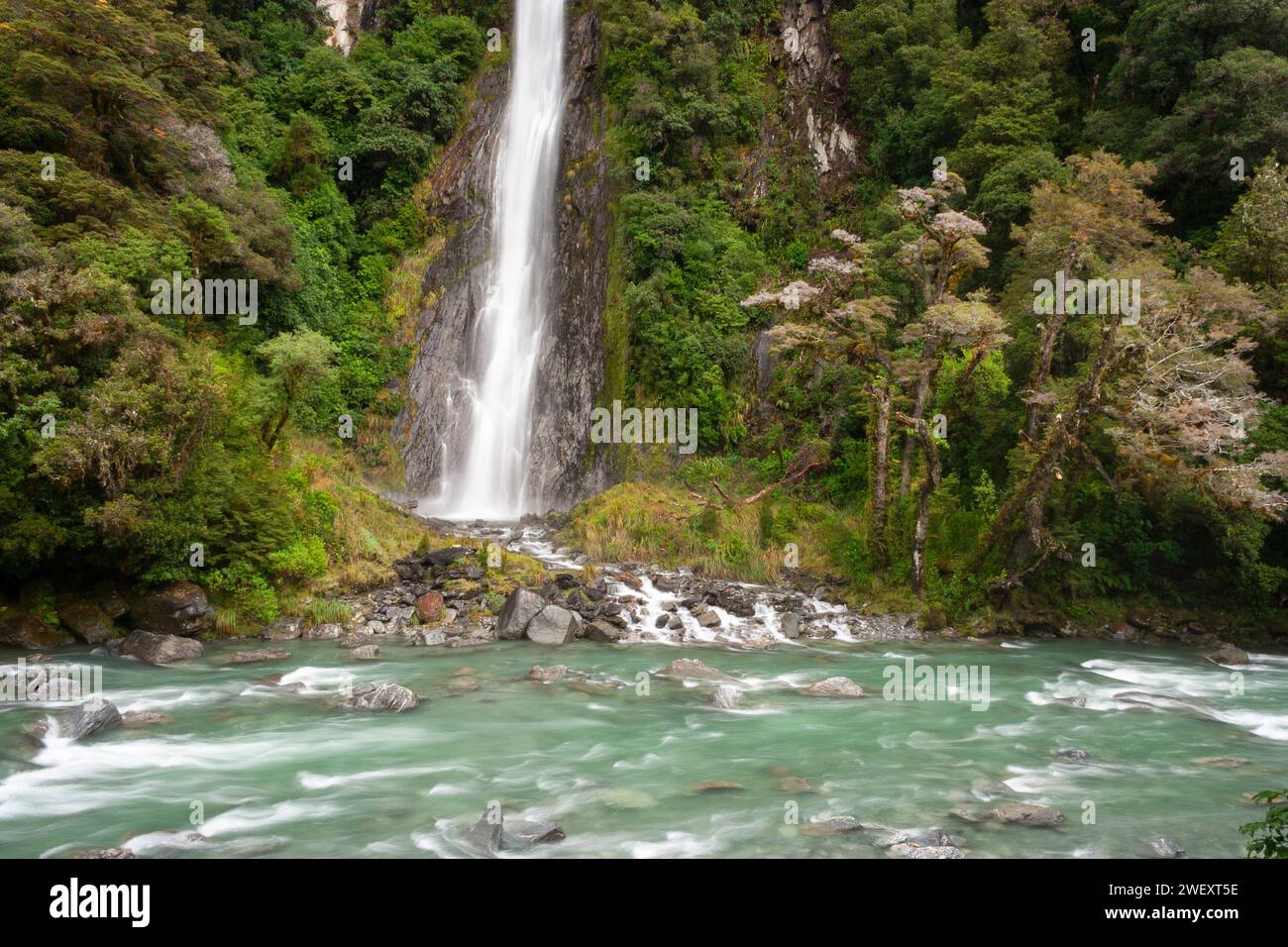 Le cascate di Thunder creek si trovano nel Mount Aspiring National Park sull'isola meridionale della nuova Zelanda Foto Stock