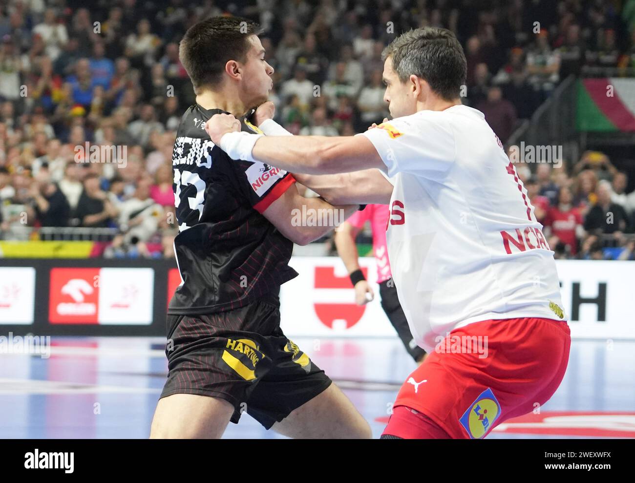 Colonia, Germania. 26 gennaio 2024. © Laurent Lairys/MAXPPP - Colonia 26/01/2024 durante la partita di pallamano maschile EHF Euro 2024, semiFinals tra Germania e Danimarca il 26 gennaio 2024 alla Lanxess-Arena di Colonia, Germania - foto Laurent Lairys/MAXPPP credito: MAXPPP/Alamy Live News Foto Stock