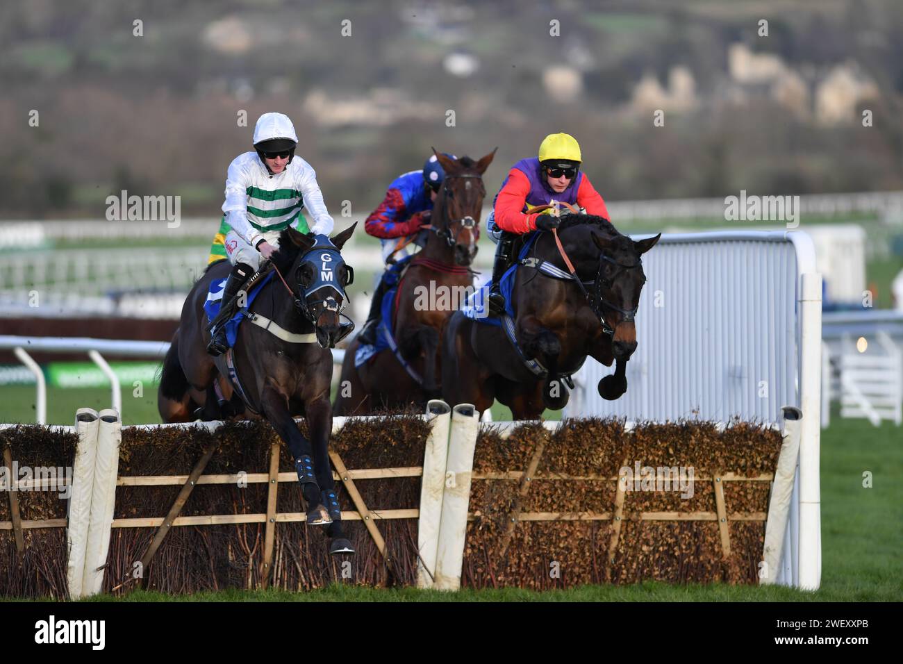 Cheltenham, Regno Unito. 27 gennaio 2024. Cheltenham Racecource, Regno Unito. Botox ha sgomberato un ostacolo sul primo circuito davanti a Dashel Drasher (berretto giallo) e Paisley Park (berretto macchiato). Azione del 15,35 McCoy Contractors Cleeve hurdle vinto da Noble Yeats a Cheltenham. REGNO UNITO. Crediti fotografici: Paul Blake/Alamy Sports News Foto Stock