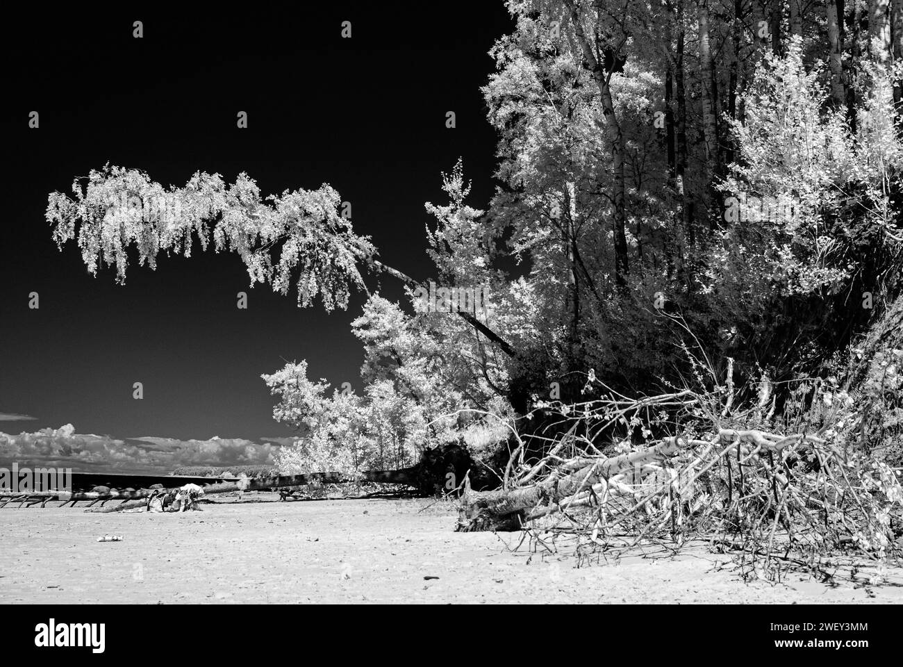 Fotografia in bianco e nero, paesaggio naturale, vista naturale in bianco e nero, B&N. Foto Stock
