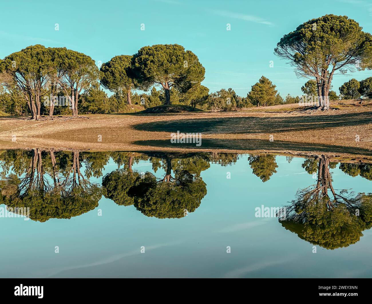 Viaggio in Portogallo natura viaggio Alentejo Turismo rurale Vista panoramica di Albufeira da Barragem do Pego do Altar a Santa Susana Portogallo Foto Stock