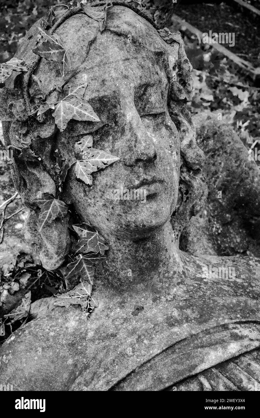 Il volto di una donna con una corona di edera sulla testa, una vecchia statua di arenaria spettrale. Immagine in bianco e nero. Inverno. Cimitero. Concetto, morte, mortalità. Foto Stock