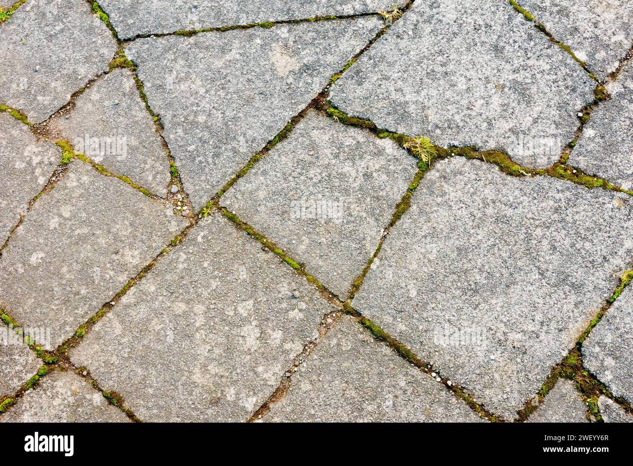 Primo piano con diverse lastre di pavimentazione in calcestruzzo rotte e muschi, erba e altre piante che sfruttano e crescono nelle crepe. Foto Stock