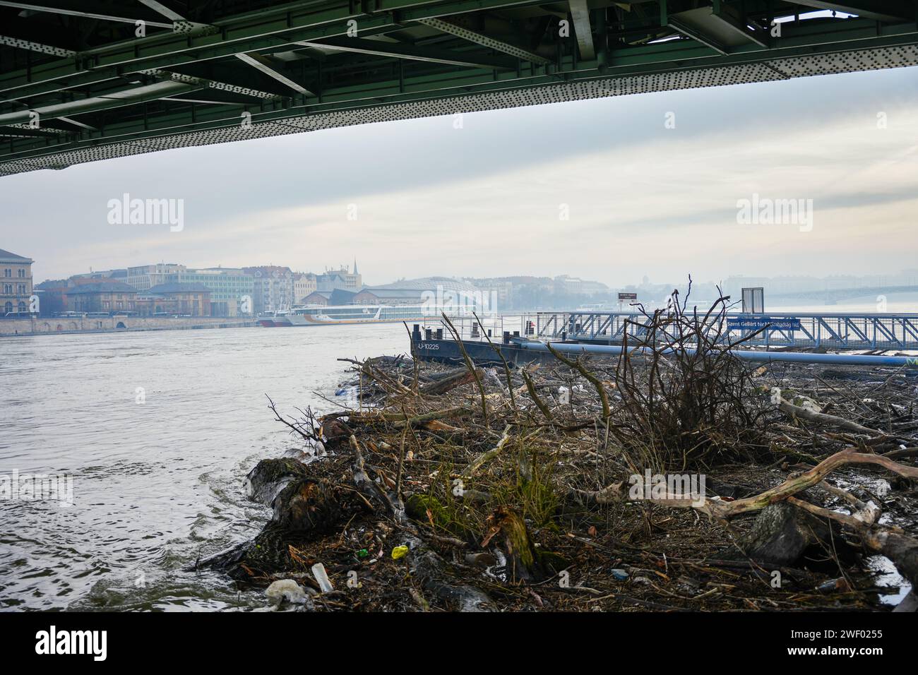 Budapest, Ungheria - 30 dicembre 2023: Detriti di alberi bloccati sotto il ponte Liberty nel Danubio dopo l'inondazione. Foto Stock