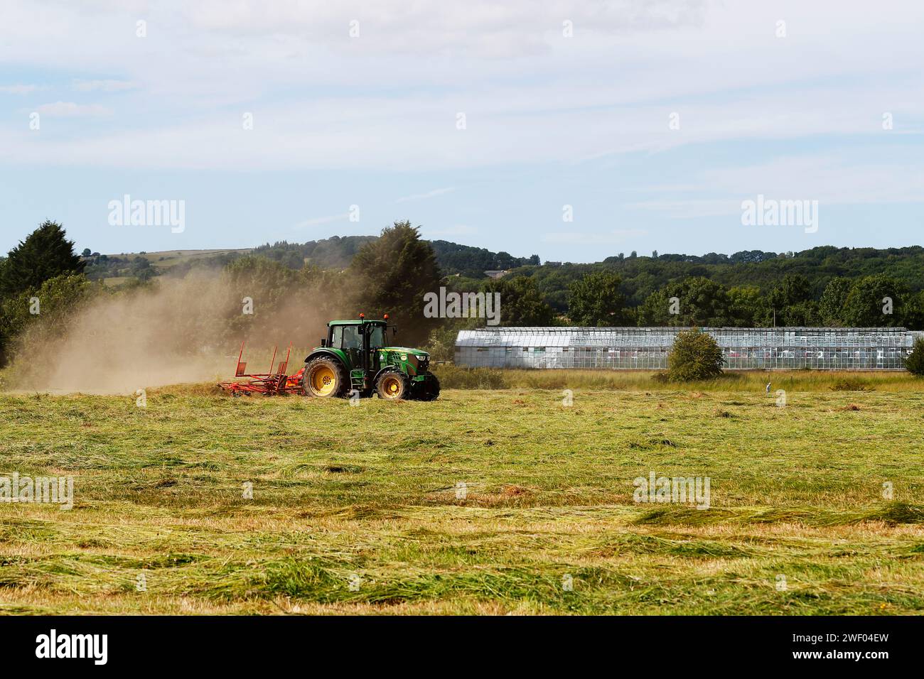 Facendo fieno, mentre il fieno viene girato, tedded ed essiccato sul campo, i semi di fiori selvatici possono tornare al prato. Foto Stock