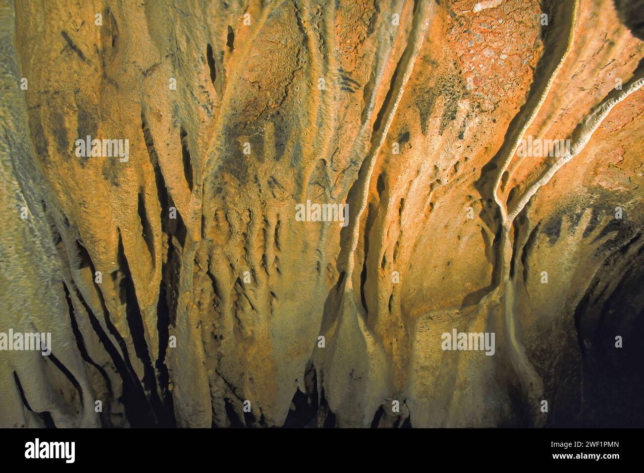 Antiche impronte di mani Maya negative su un muro di fioritura, in una grotta nel profondo della foresta pluviale delle Maya Mountains, Cayo District, Belize, America centrale Foto Stock