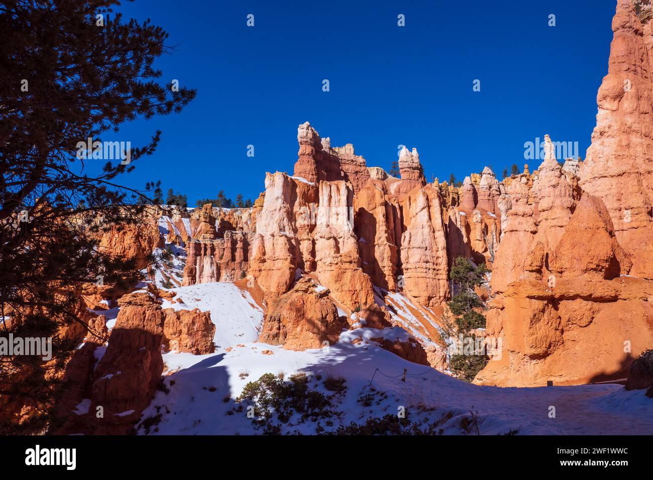 Bryce Amphitheater dal Queen's Garden Trail, inverno, Bryce Canyon National Park, Utah. Foto Stock
