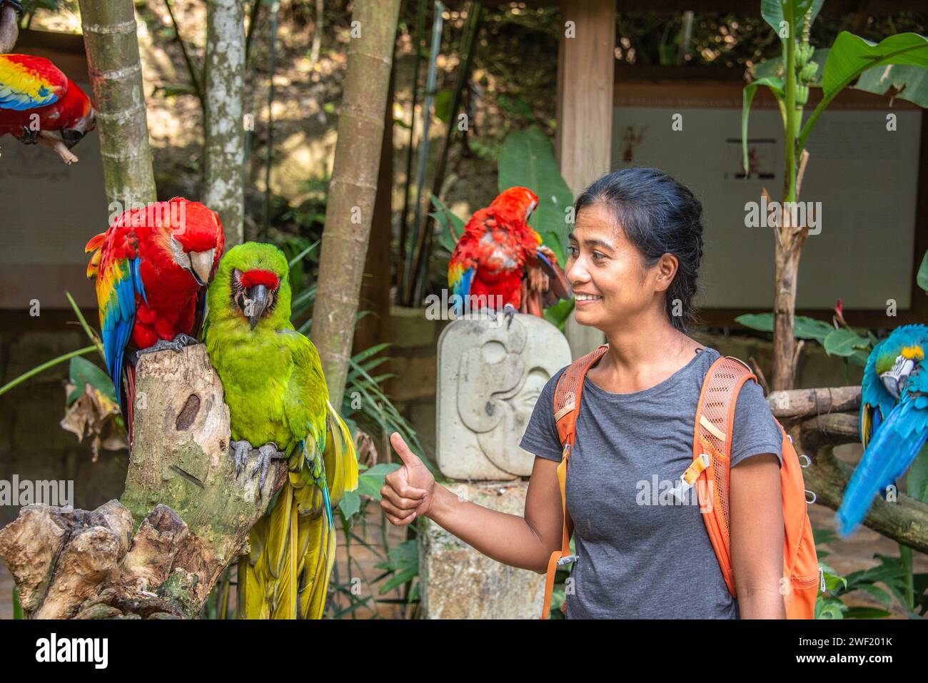 I turisti sono circondati da pappagalli a Macaw Mountain, Copan Ruinas, Honduras Foto Stock