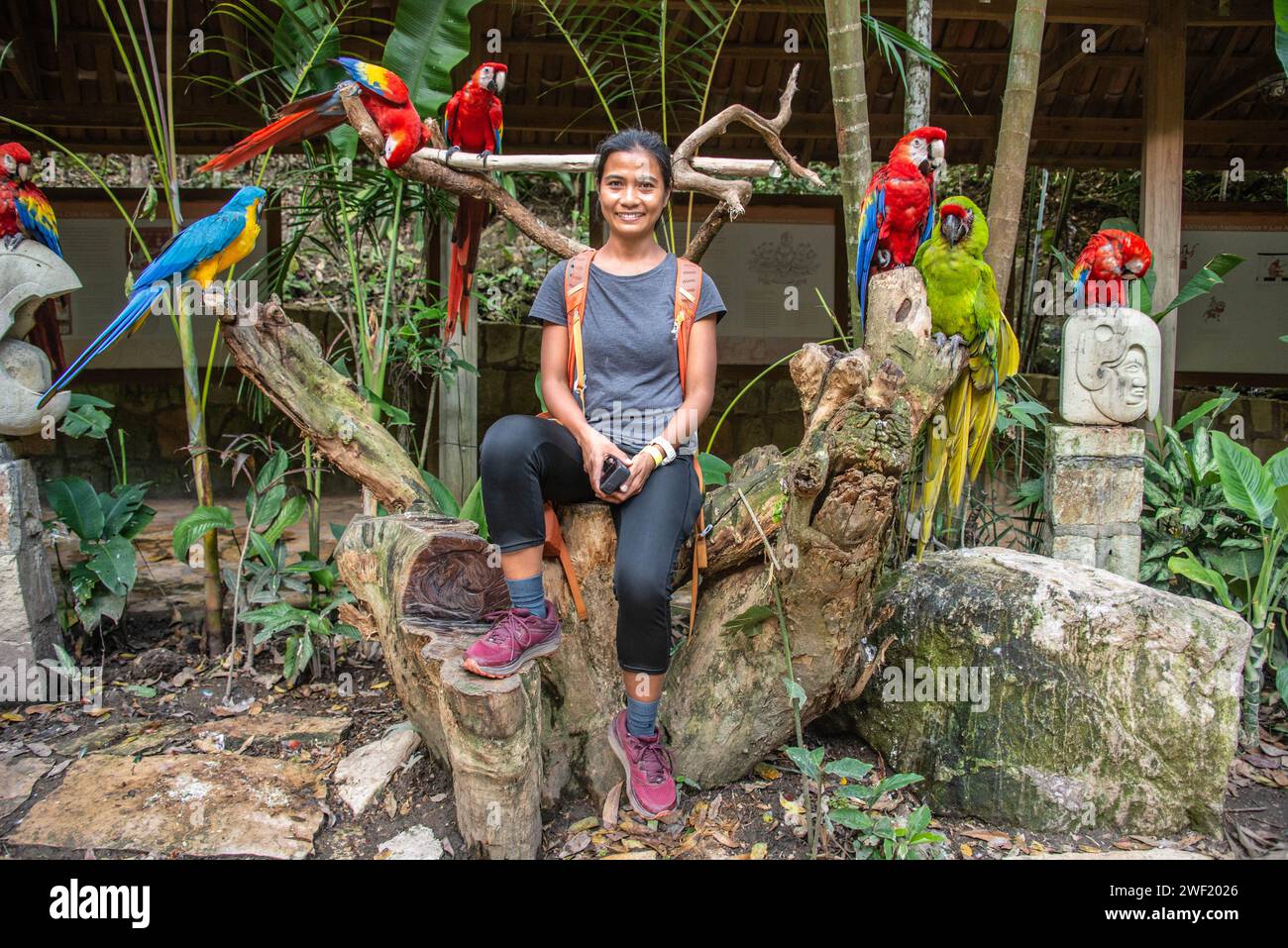 I turisti sono circondati da pappagalli a Macaw Mountain, Copan Ruinas, Honduras Foto Stock