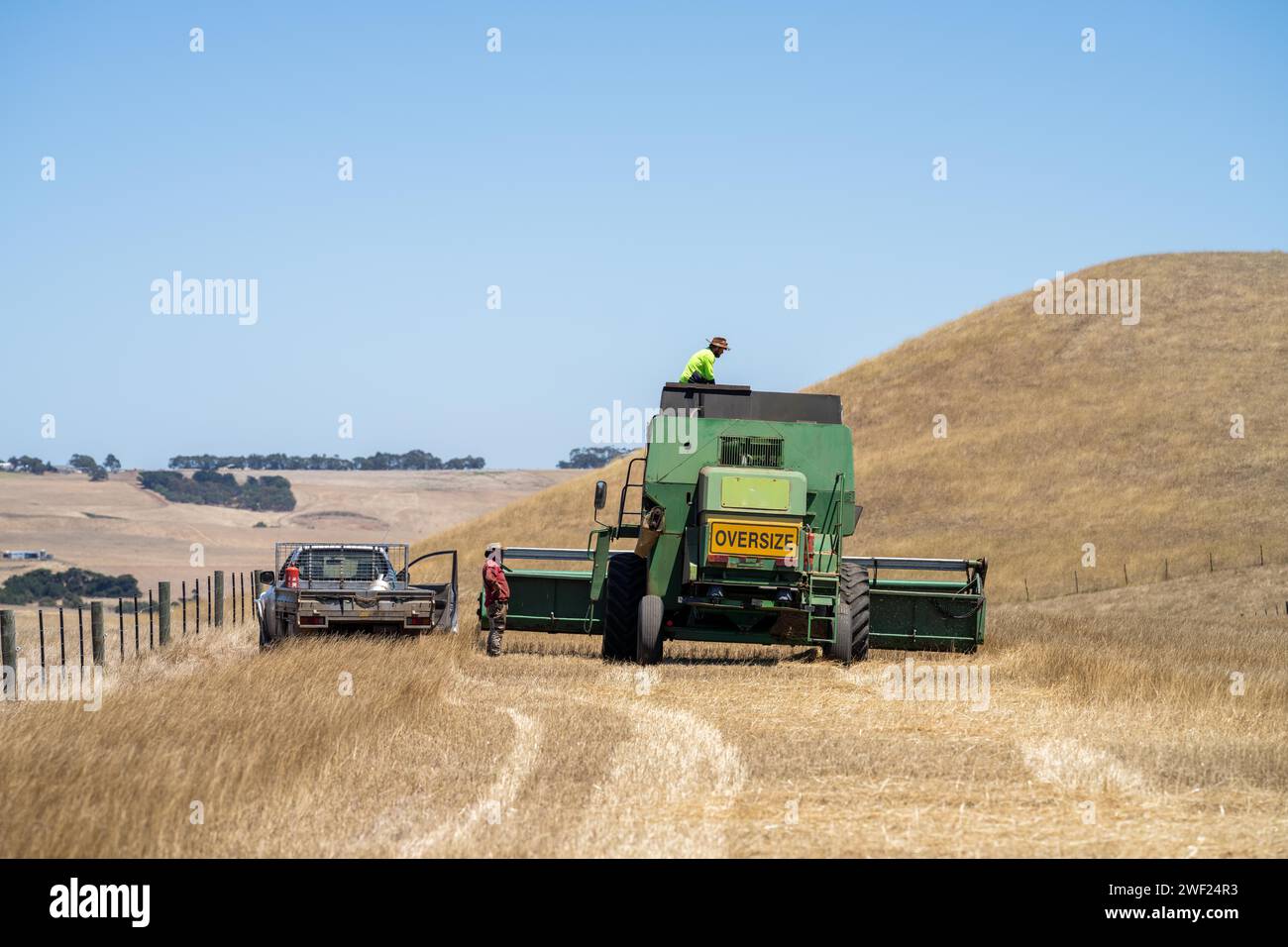 Vecchie mietitrebbie in un campo in un'azienda agricola Foto Stock