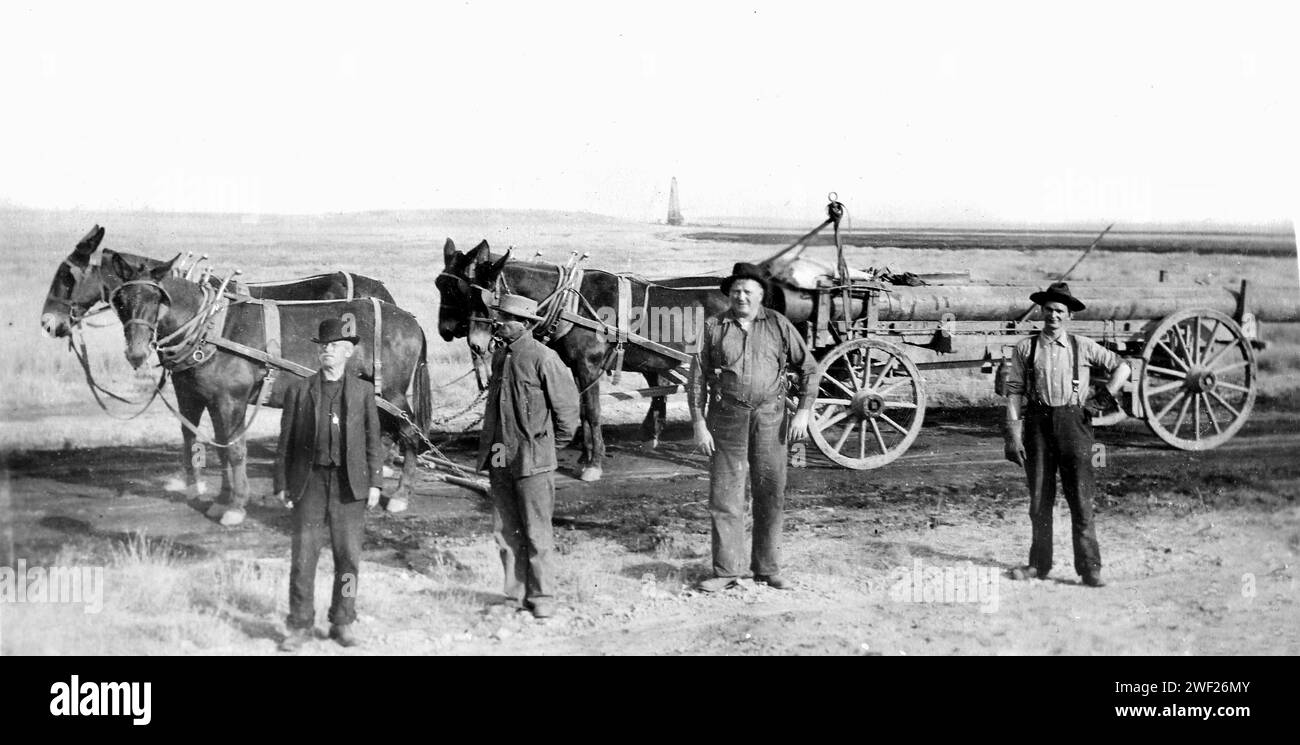 Una squadra di lavoro e un carro asino con un tubo fognario in posa per una foto in Iowa, California. 1910. Foto Stock