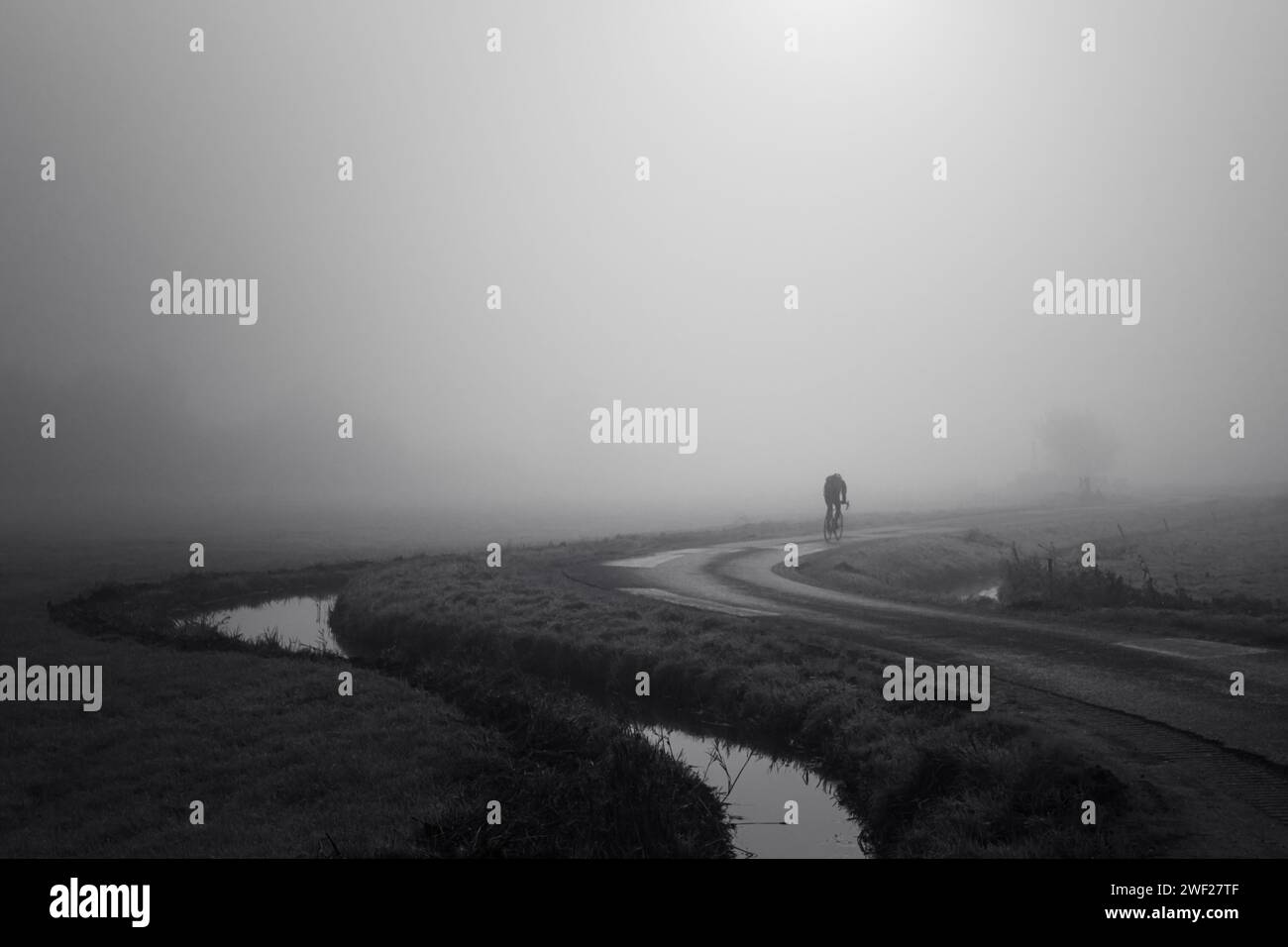 Uomo che va in bicicletta nella nebbia Foto Stock