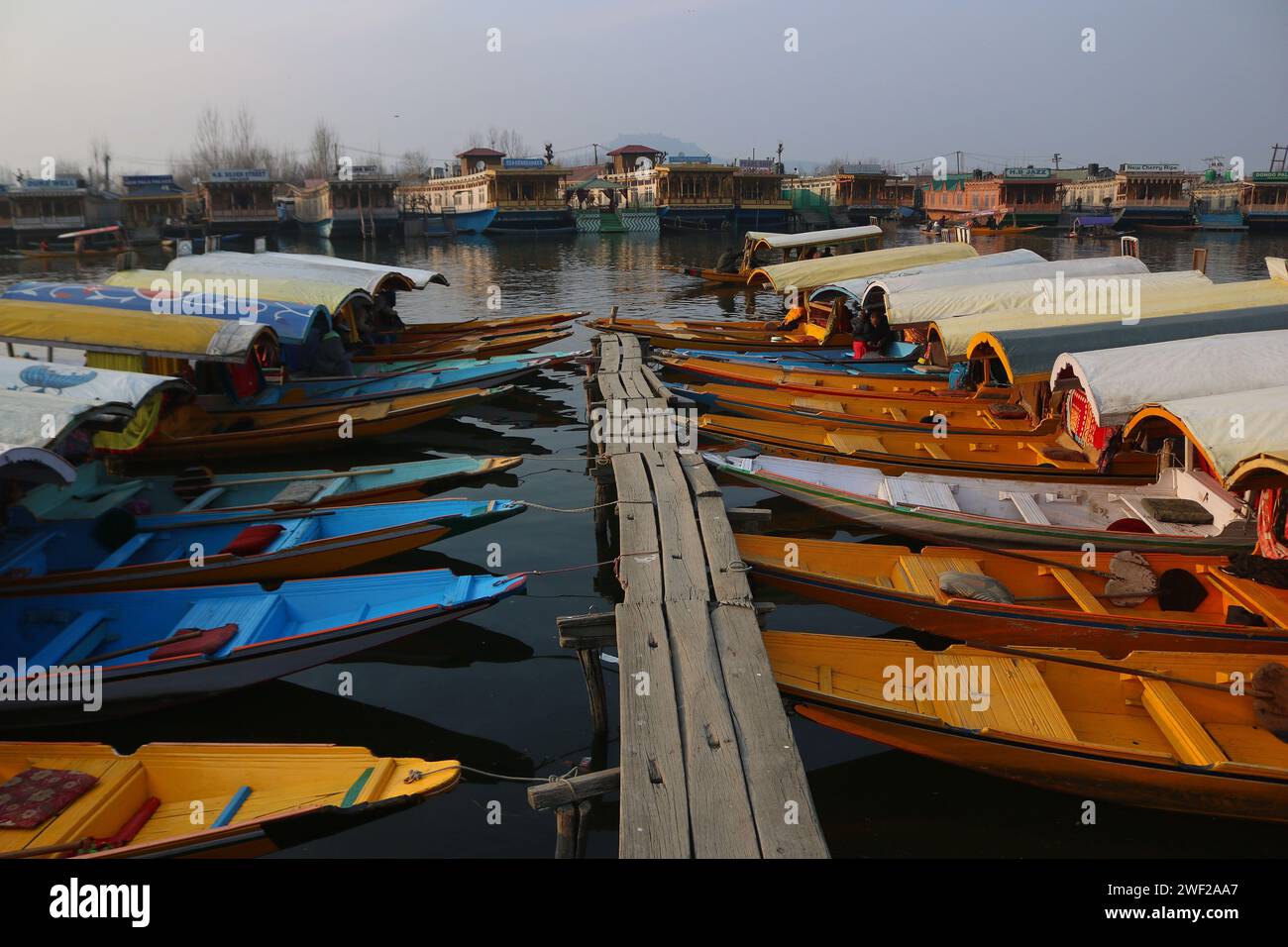 27 gennaio 2024, Srinagar Kashmir, India: La shikara vacante è parcheggiata sulle rive del lago dal a Srinagar. Nevicate leggere si sono verificate nei tratti più alti del Jammu e del Kashmir durante le ultime 24 ore, mentre l'incantesimo del freddo estremo si è attenuato un po' sia nella valle del Kashmir che nella divisione di Jammu. Tratti più alti come Sonamarg, Gulmarg, Sinthan Top, Mughal Road, Karnah, il passo Razdan e il passo Zojila hanno ricevuto una leggera nevicata mentre le persone che vivono nelle pianure aspettano ancora la prima nevicata di questa stagione. Il 27 gennaio 2024, Srinagar Kashmir, India. (Foto di Firdous Nazir/Eyepix Group) Foto Stock