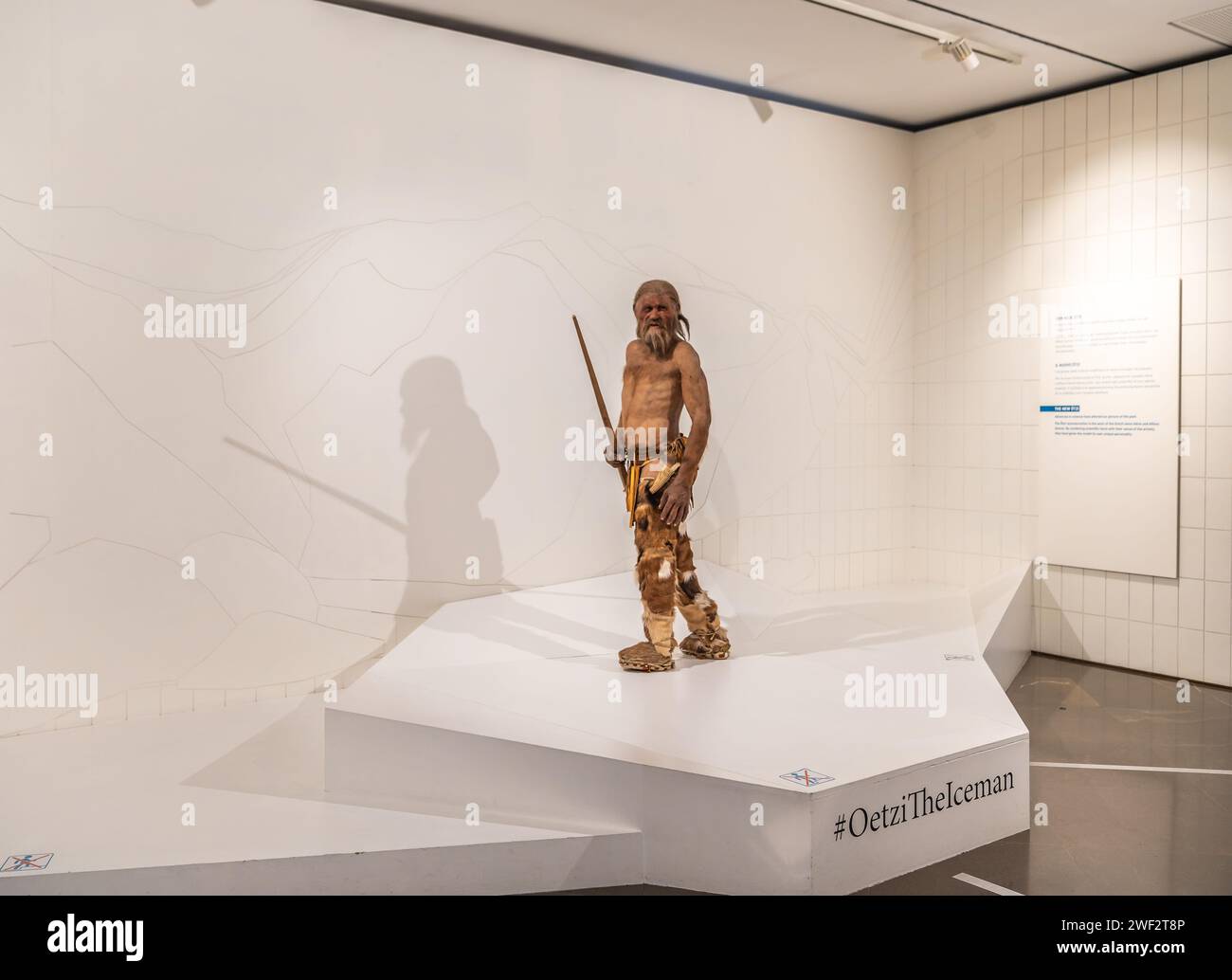 Riproduzione di Oetzi l'uomo Similaun (uomo del ghiaccio) nel Museo Archeologico dell'alto Adige a Bolzano, alto Adige, Trentino alto Adige, Italia settentrionale Foto Stock