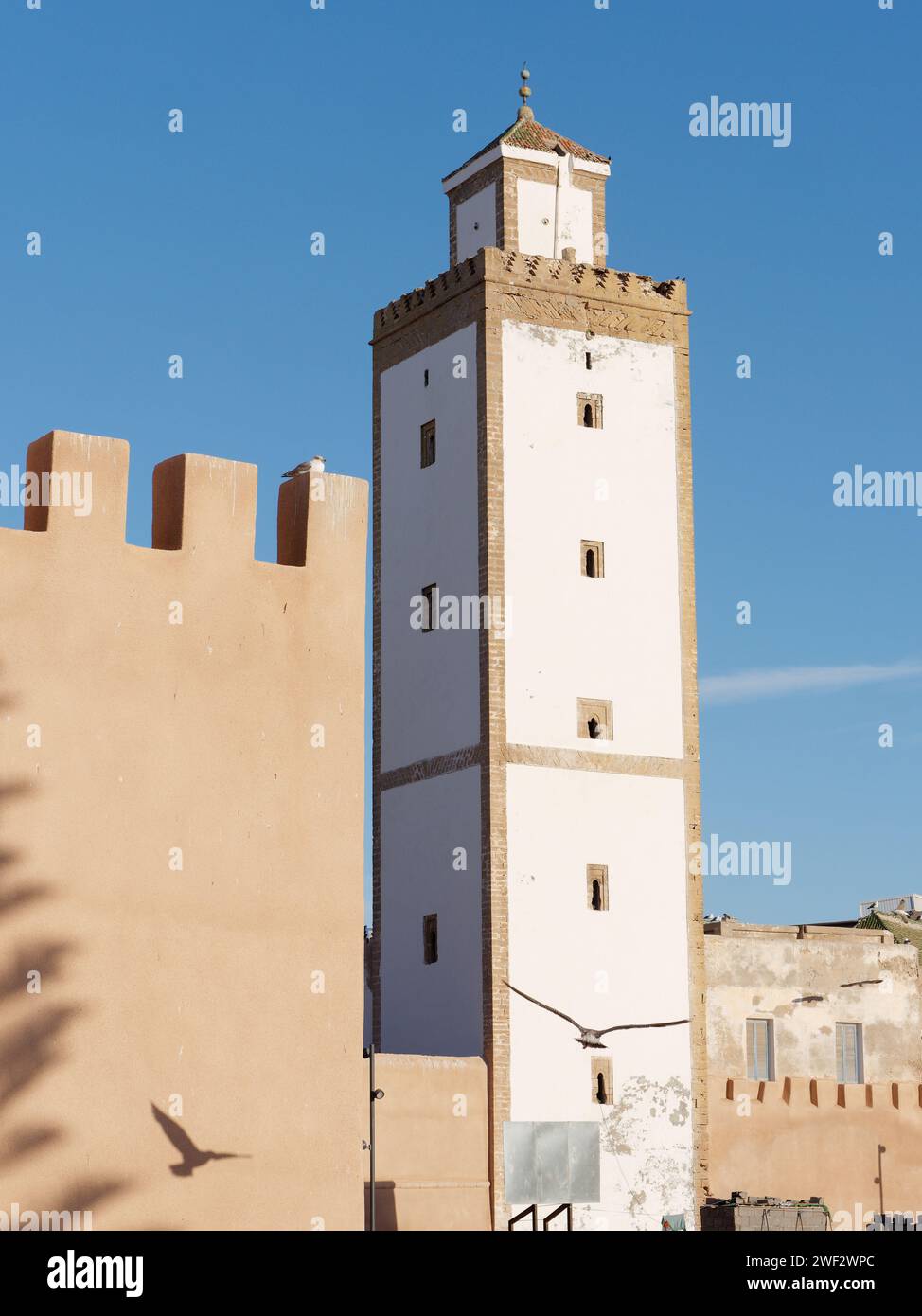 L'uccello getta un'ombra accanto a una torre nella storica Medina di Essaouira, Marocco, 28 gennaio 2024 Foto Stock