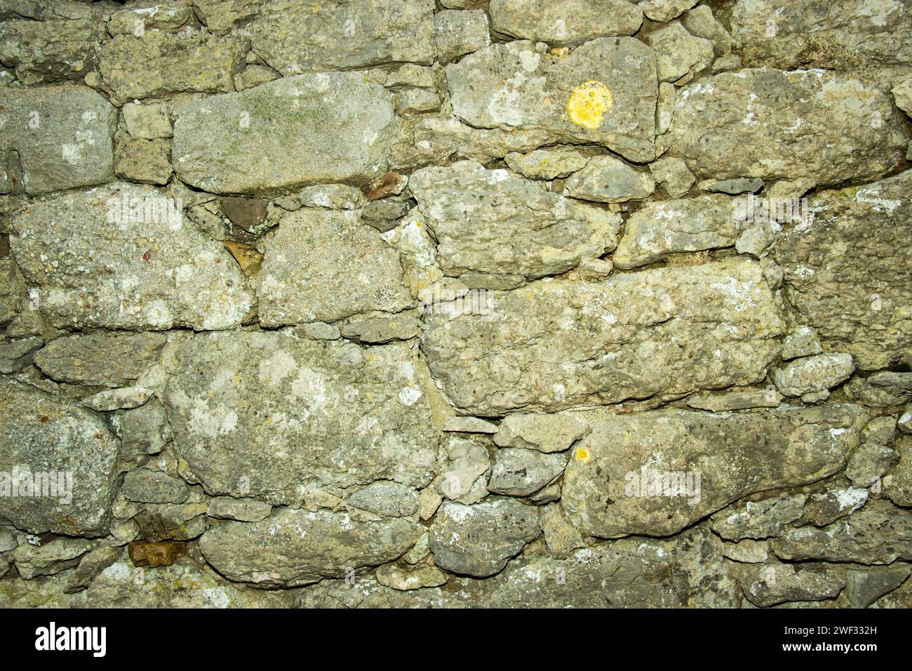 Le rovine della Hen Capel Llugwy sono costruite con rocce locali scavate all'inizio dell'XI secolo. È stato costruito per la comunità rurale dispersa Foto Stock