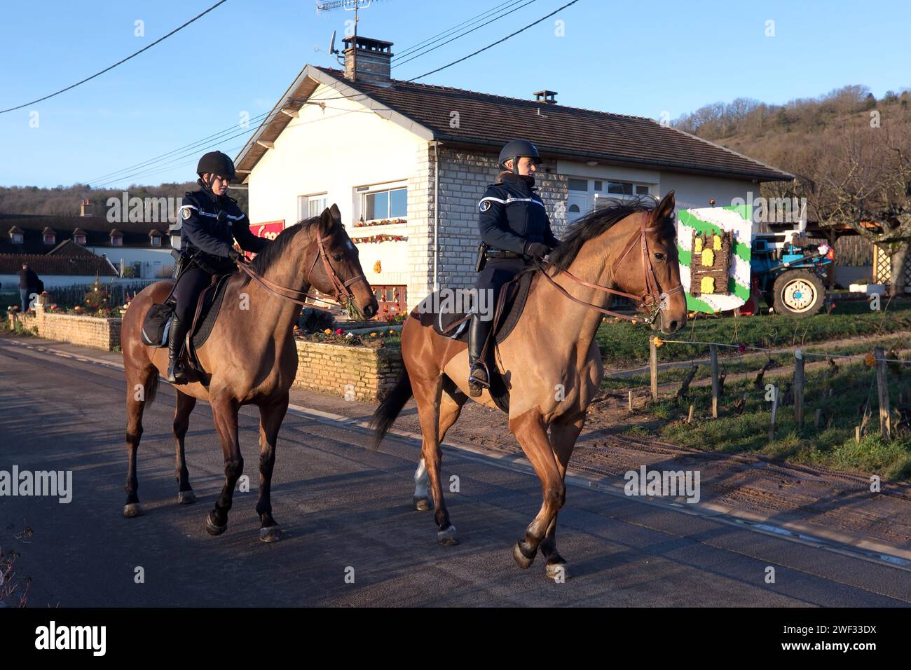 Chambolle Musigny, Francia. 27 gennaio 2024. © JC Tardivon/MAXPPP - Chambolle-Musigny 27/01/2024 Defile des confreries : patrouille de gendarmes a cheval Morey-Saint-Denis 01/27/2024 Saint Vincent Rotating in Borgogna 2024. Tra le tradizioni, le induzioni nella fratellanza dei cavalieri di Tastevin, la messa e la processione nei vigneti. Credito: MAXPPP/Alamy Live News Foto Stock