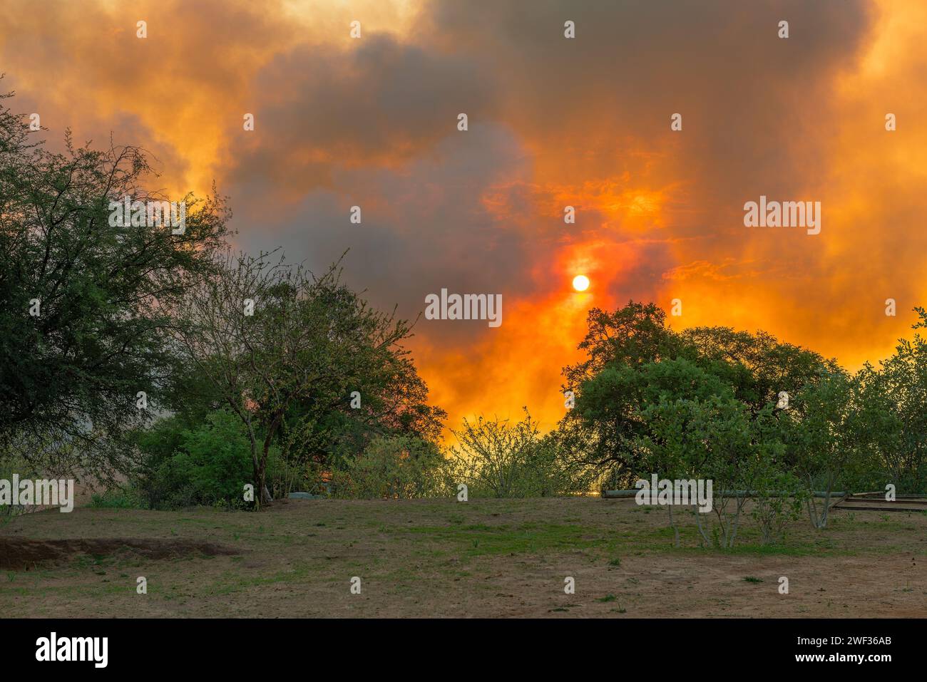 Incendi boschivi sul fiume Kwando, regione dello Zambesi, Namibia Foto Stock