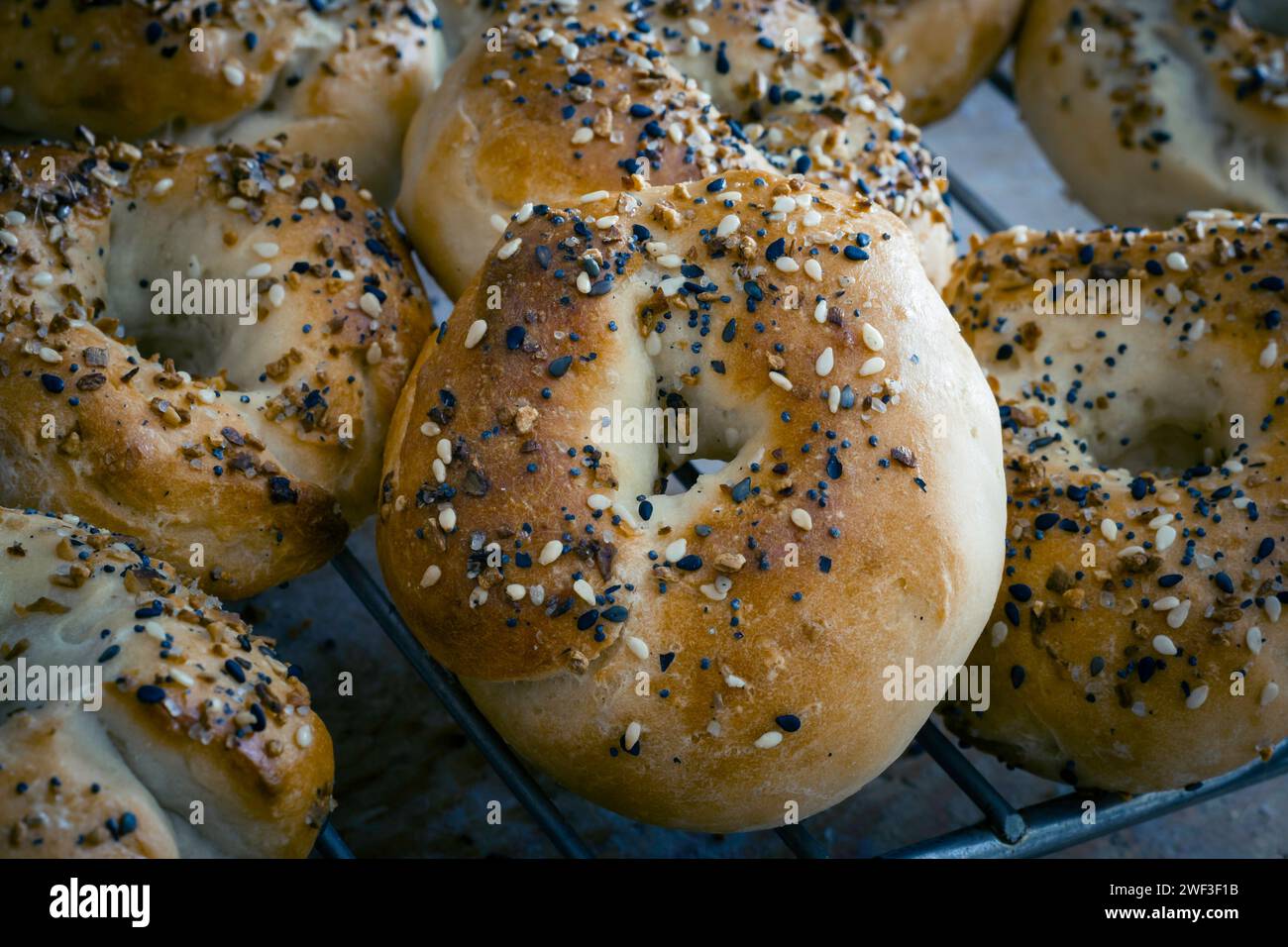Bagel appena sfornati Foto Stock