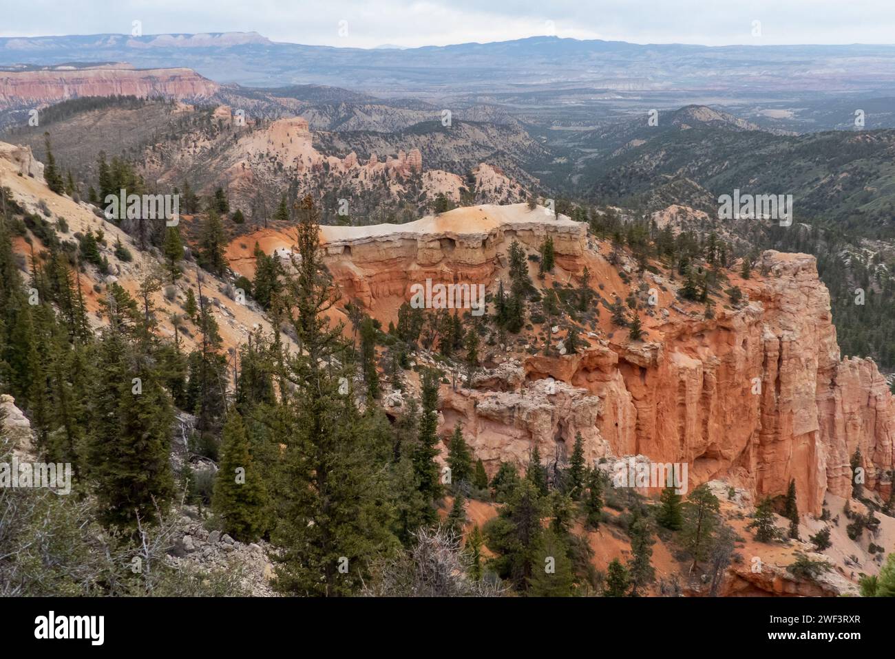 Bryce Canyon NP nello Utah: Il canyon da Farview Point Foto Stock