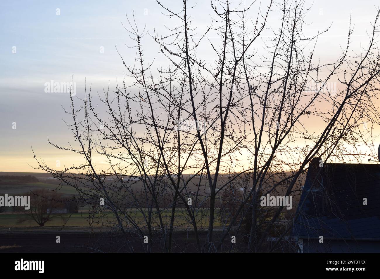 Tramonto invernale nell'Eifel Foto Stock