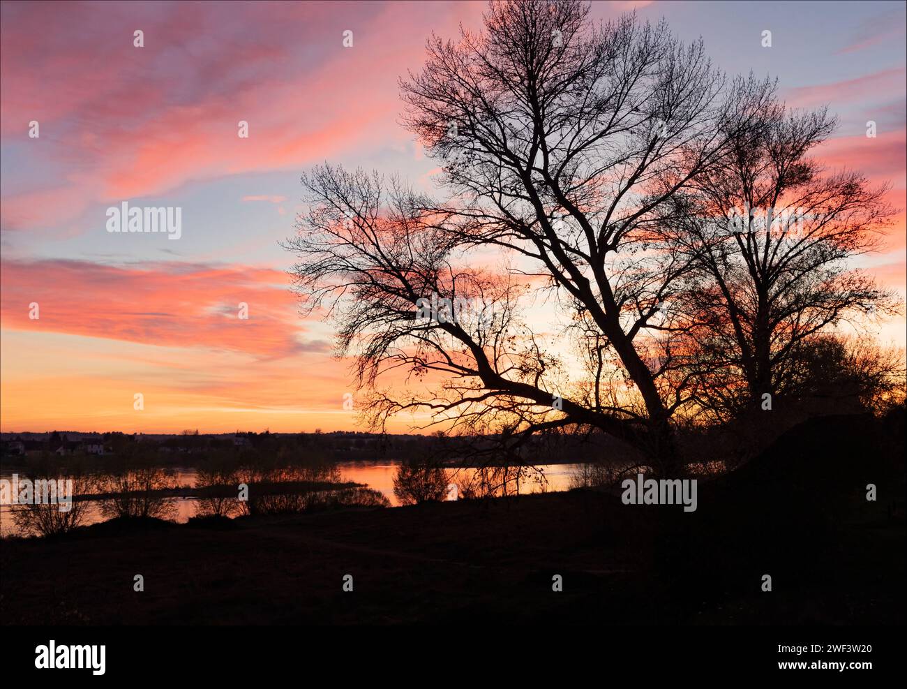 Silhouette di un albero invernale mentre i tramonti sulla Loira con colori riflessi Foto Stock