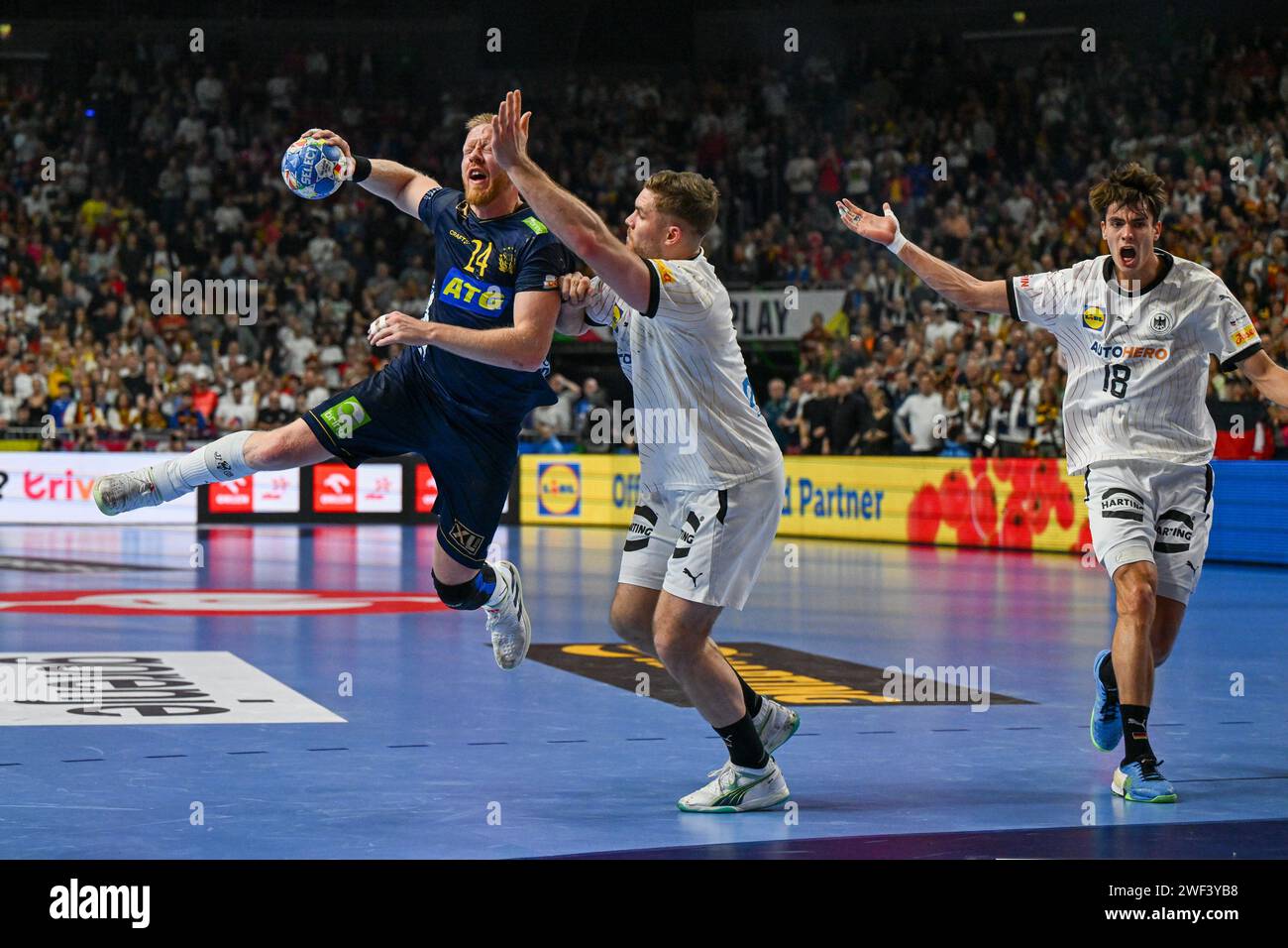 Colonia, Germania. 28 gennaio 2024. Jim Gottfridsson (Svezia) durante la terza e quarta finale del menÂ&#x80;&#x99;s EHF Euro 2024 match tra Svezia e Germania alla Lanxess Arena di Colonia, Germania Credit: Independent Photo Agency/Alamy Live News Foto Stock